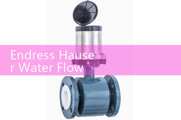 Endress Hauser Water Flow Meter Selection: Choosing Electromagnetic vs Ultrasonic Systems